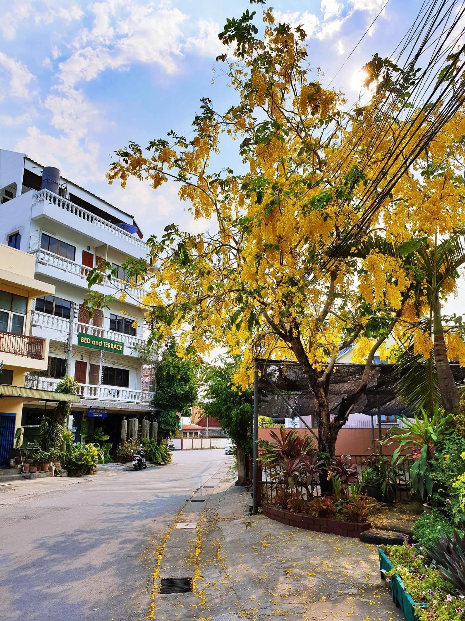 Bed And Terrace Guesthouse Chiang Mai Bagian luar foto