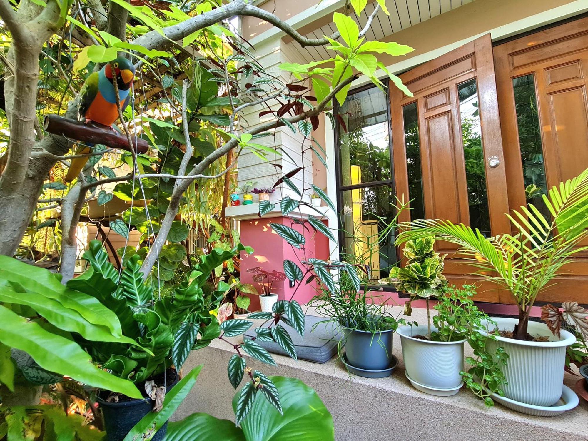 Bed And Terrace Guesthouse Chiang Mai Ruang foto